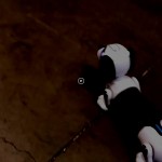 YCOO par Silverlit Robo Dackel 2- Chien Robot télécommandé ou Autonome 35 cm Peut Courir Derrière Sa Balle Jouet avec Effets Sonores Et Lumineux