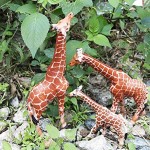 FLORMOON Figures d'animaux 3pcs Réaliste Girafe Modèle d'action Plastique Animal Sauvage Apprentissage Fête des faveurs Jouets Éducatif Jouets de Ferme forestière pour Les Enfants