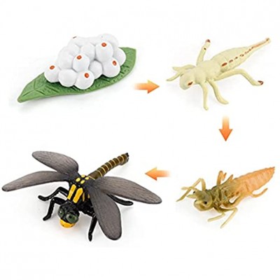 Kit de jouets en forme d'animal escargot libellule grenouille outil éducatif figurines d'animaux de la forêt kit de jouets pour enfants maternelle taille : libellule