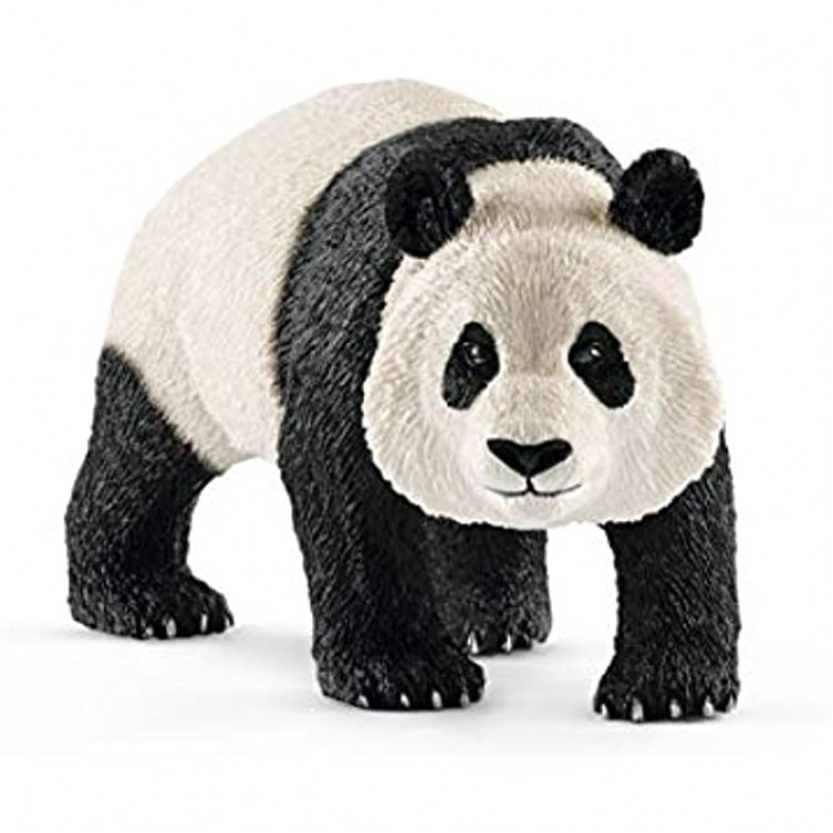 Panda Géant Mâle
