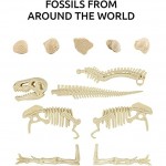 Science Can Kit de Fouille de Fossiles de Dinosaure | Kit STEM d'archéologie pour Enfants | Puzzle 3D Squelette de Tyrannosaure | Garçon et Fille à partir de 8 Ans
