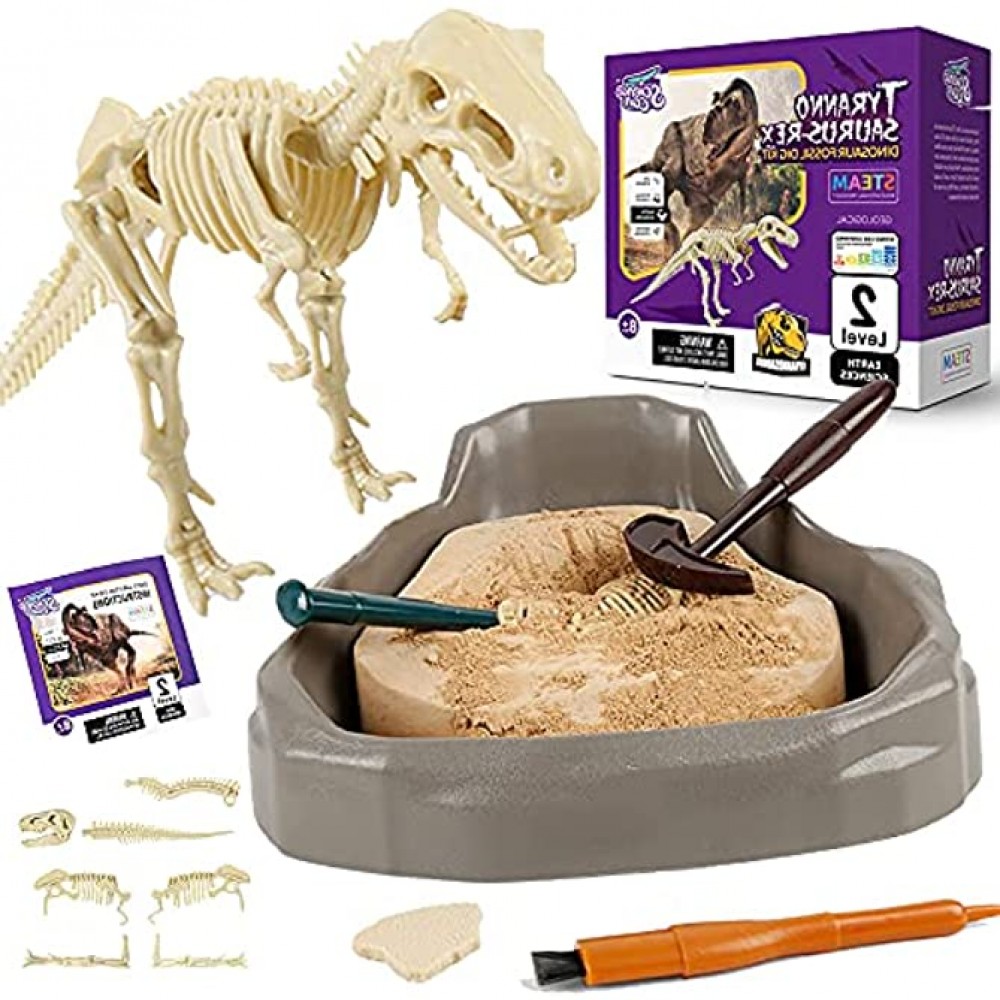 Science Can Kit de Fouille de Fossiles de Dinosaure | Kit STEM d'archéologie pour Enfants | Puzzle 3D Squelette de Tyrannosaure | Garçon et Fille à partir de 8 Ans
